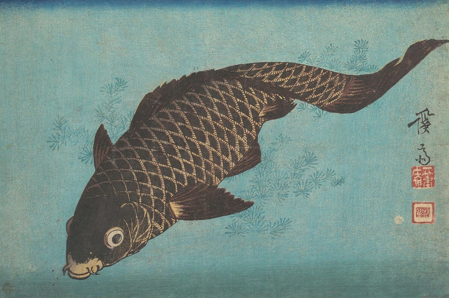 Nginx 란 무슨 역할을 할까?